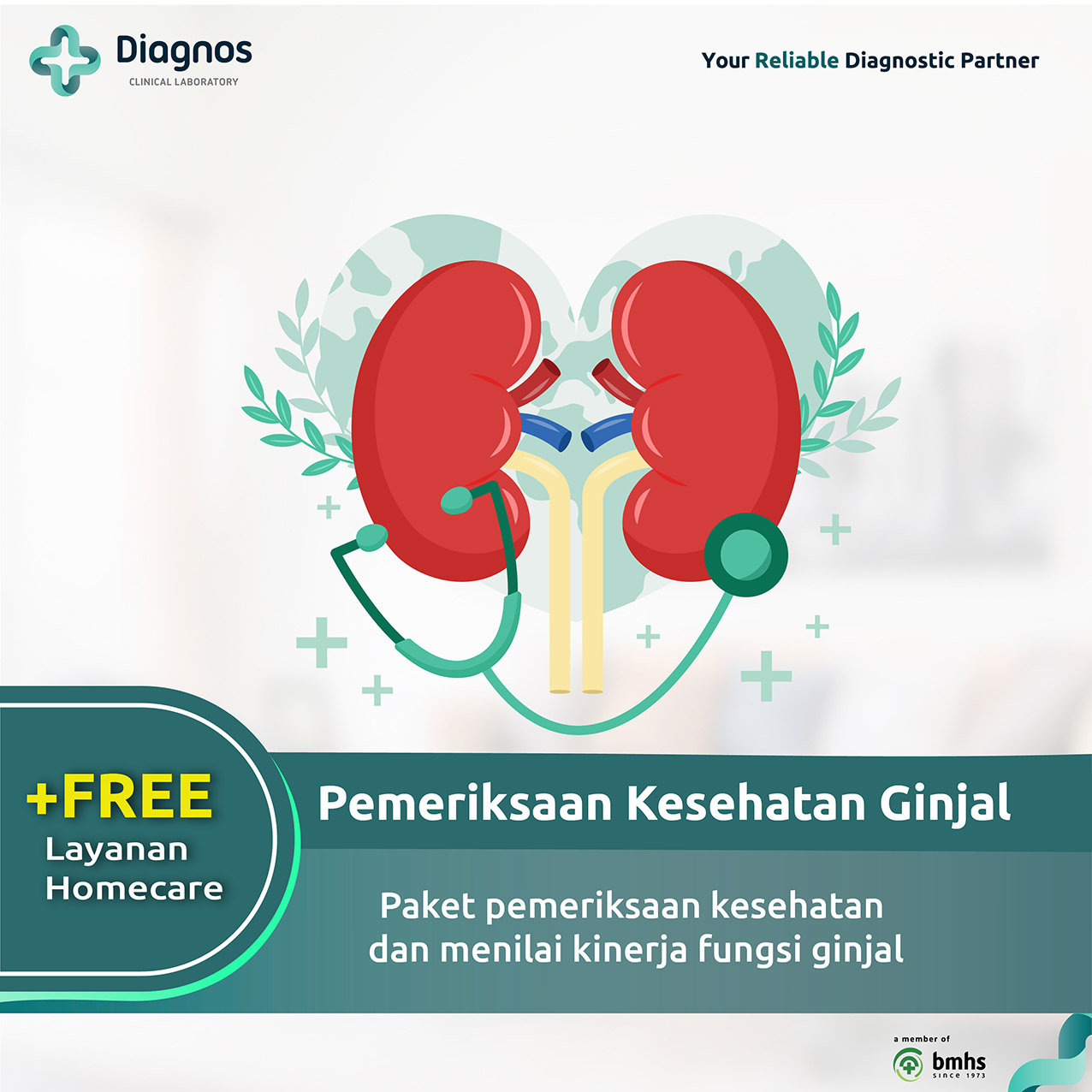 Pemeriksaan Kesehatan Ginjal